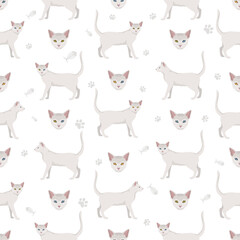 Khao Manee Cat clipart. All coat colors set.  All cat breeds characteristics infographic. Vector illustration