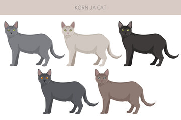 Korn Ja Cat clipart. All coat colors set.  All cat breeds characteristics infographic. Vector illustration