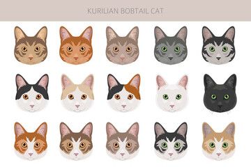 Kurilian Bobtail Cat clipart. All coat colors set.  All cat breeds characteristics infographic. Vector illustration