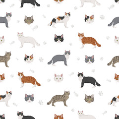 La Perm Cat clipart. All coat colors set.  All cat breeds characteristics infographic. Vector illustration