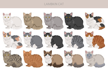 Lambkin Cat clipart. All coat colors set.  All cat breeds characteristics infographic. Vector illustration