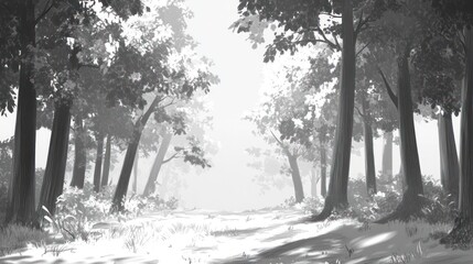 Misty Forest Path Leading Through Tall Trees