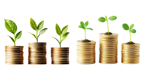 Set of three stacks of golden coins with green sprouts, isolated on a transparent background.