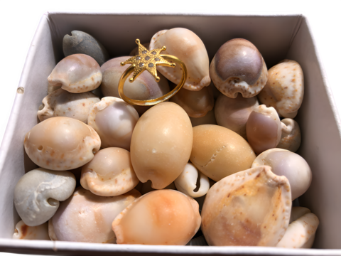 A gold ring shining on sea shells. propose day concept.