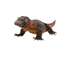 Obraz premium A komodo dragon with dark markings on a black background.