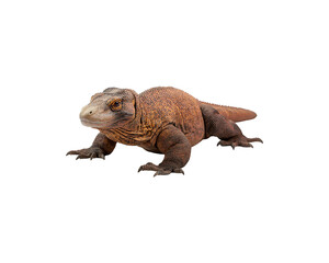 Obraz premium A Komodo dragon on a black background.