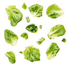 Lettuce leaves