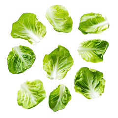 Lettuce leaves