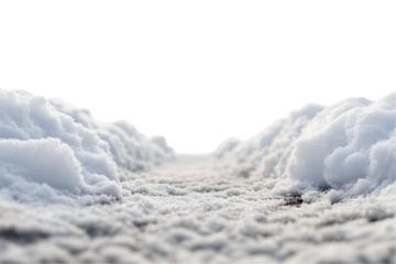 path on snow