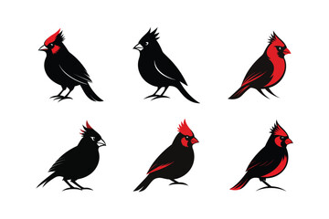 Northern Cardinal vector art illustration