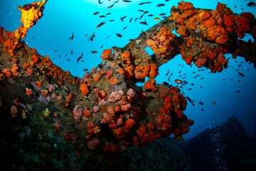 Cargo wreck dive site © Nick Hobgood