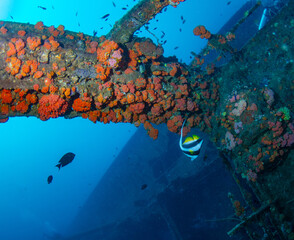 Cargo wreck dive site