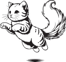 cat jumping 