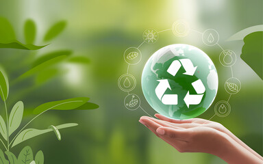 Zero Waste Revolution: A Journey Towards Sustainable Consumption