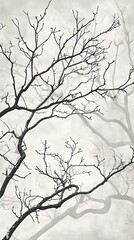 Obraz premium tree canopy branches drawing simple black light gray background