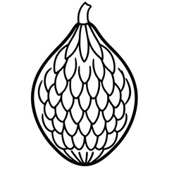 Minimalist Salak Fruit Vector Line Art