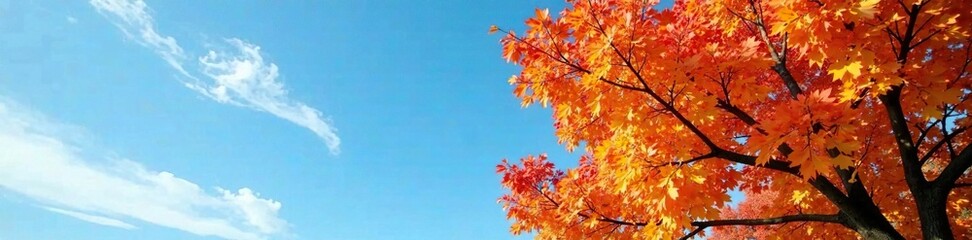 Amber hues on autumn leaves against blue sky with wispy clouds, trees, nature