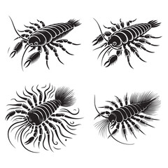 4 set of black silhouette of the Water Flea Isolated on a White Background in Monochrome Art Style"