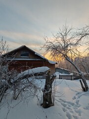 A house with a snow covered roof and a tree in front of it