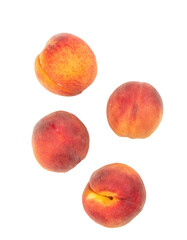 Four ripe peaches floating on transparent background