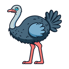 ostrich bird wild animal flat color vector illustration template design