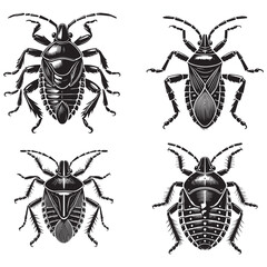 Elegant Vector Silhouettes of the Waterbug Isolated on a White Background in Monochrome Art Style