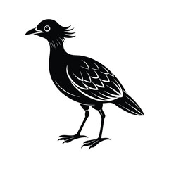 silhouette of a bird vector illustration