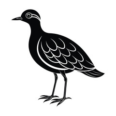 peewit bird silhouette vector illustration