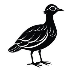 bird icon silhouette vector illustration