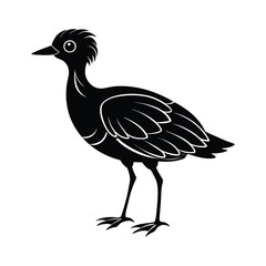bird silhouette vector illustration on white background