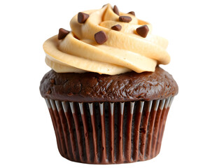 A chocolate cupcake topped with a swirl of creamy, brown frosting and sprinkled with chocolate chips. The cupcake looks delicious and ready to eat