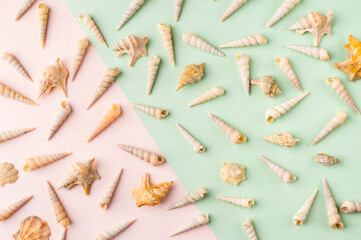 Spiral shells and charms on pastel pink and green background. Pastel flat lay featuring spiral shells and charms.