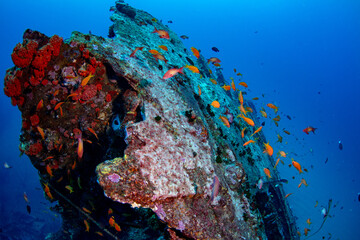 Coal wreck dive site