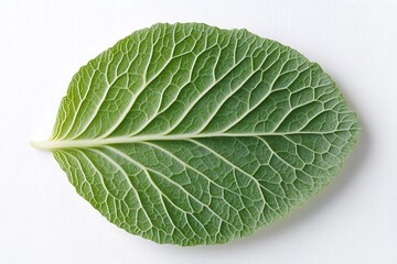 Obraz premium A single vibrant green cabbage leaf rests on white
