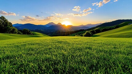A photostock of a sunrise view of a misty valley with rolling hills, illuminated by warm golden light, symbolizing new beginnings and natural beauty. High Quality