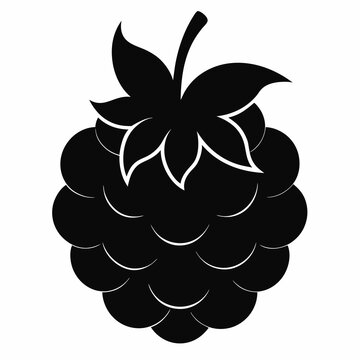 recommend clip art: Boysenberry Fruit Silhouette Vector Art