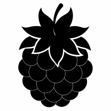 recommend clip art: Boysenberry Fruit Silhouette Vector Art