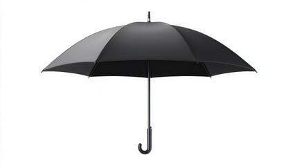 Elegant black umbrella against a white background