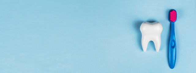 The health of children's teeth. White healthy tooth and baby brush on a blue background. Banner for a dental clinic, a pediatric dentist, oral hygiene, oral care. Copyspace for text