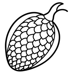 Geometric Salak Line Art Design