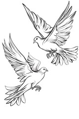 Obraz premium doves flying unison line art