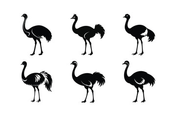 Ostrich silhouette vector art illustration
