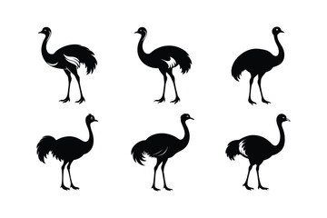 Ostrich silhouette vector art illustration