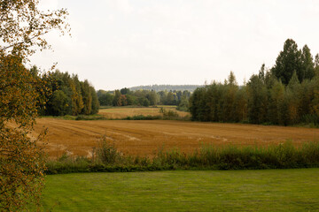 Fototapeta premium Autumn rural view in Finland