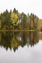 Autumn lake view. Fall colored foliage