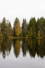 Obraz premium Autumn lake view. Fall colored foliage