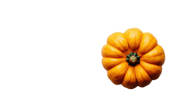 A Small Orange Pumpkin with a Green Stem Perfect for Autumn Decorations, Harvest Themes, and Seasonal Activities in Culinary Arts and Crafts.