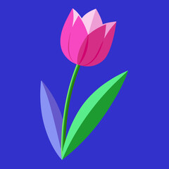 tulip-flowe