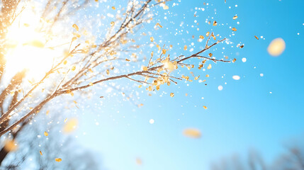 Obraz premium Winter sun shining on a tree branch with falling snow and leaves; bright, cheerful background for winter holiday, seasonal, nature themes