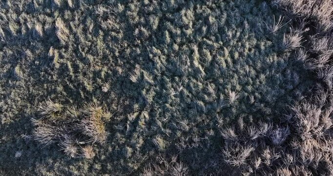 Aerial View of White Frosty Morning in Dorset Near Dark River